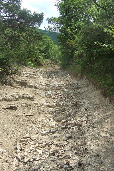 2011-05- (1404).JPG - Jetzt beginnt der felsige Aufstieg bis zu 620 m Höhe ...